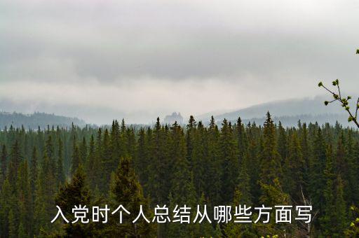  入黨時個人總結從哪些方面寫