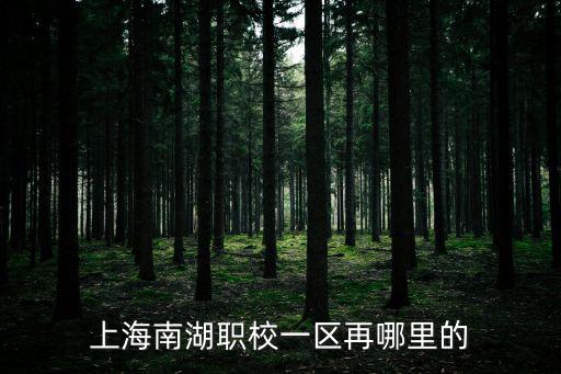 上海南湖職校一區再哪里的