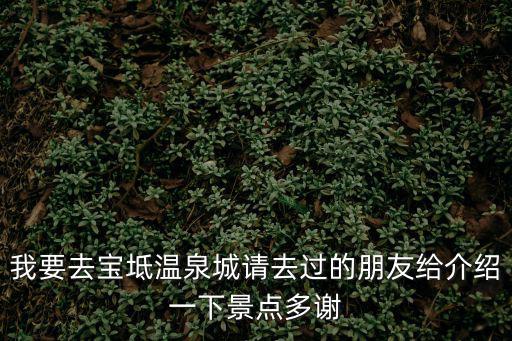 我要去寶坻溫泉城請去過的朋友給介紹一下景點多謝