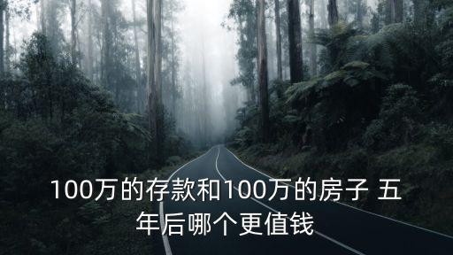 100萬的存款和100萬的房子 五年后哪個更值錢