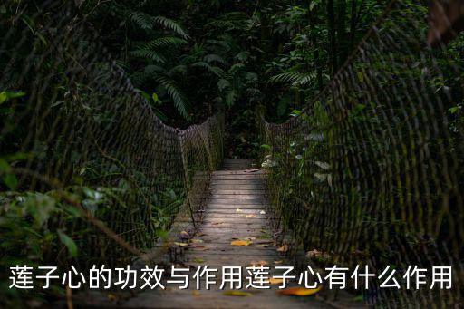 蓮子心的功效與作用蓮子心有什么作用