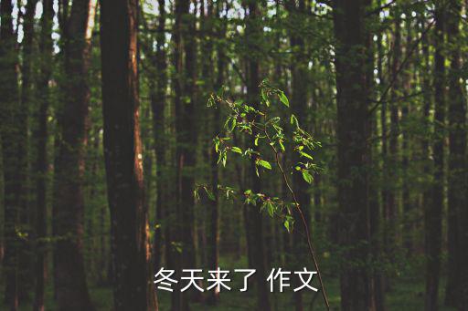冬天作文100字,冬天來了,冬天真的來了