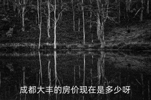成都大豐的房價現在是多少呀