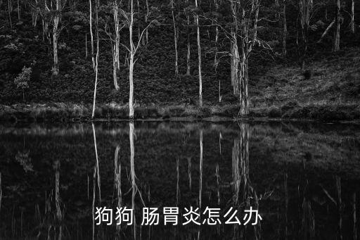 狗狗 腸胃炎怎么辦