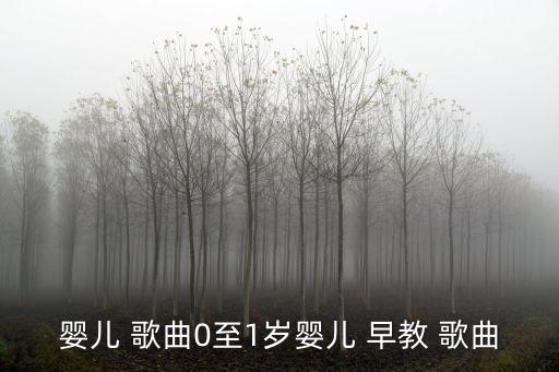 嬰兒 歌曲0至1歲嬰兒 早教 歌曲