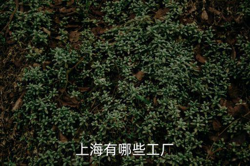 上海有哪些工廠