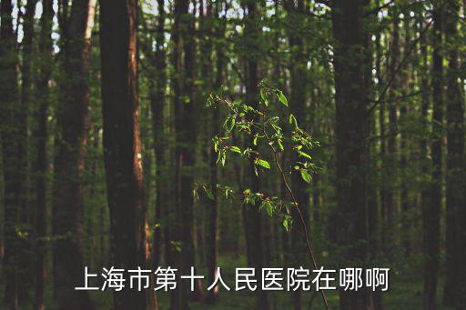 上海市第十人民醫(yī)院在哪啊