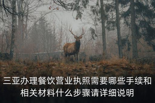 海南營業執照怎么辦理流程，三亞辦理餐飲營業執照需要哪些手續和相關材料什么步驟請詳細說明