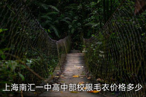 上海市南匯第一中學校服，南匯一中校服什么樣子