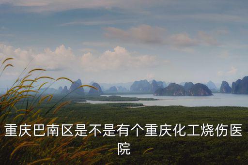重慶巴南區(qū)是不是有個重慶化工燒傷醫(yī)院