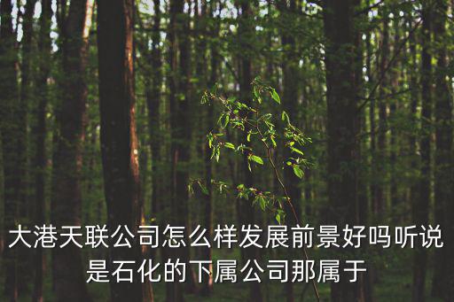 大港天聯公司怎么樣發展前景好嗎聽說是石化的下屬公司那屬于
