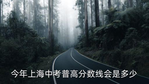 2019年上海市普通高中，今年上海中考普高分數線會是多少