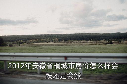 2012年安徽省桐城市房價怎么樣會跌還是會漲