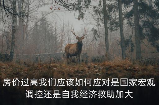 房價過高我們應該如何應對是國家宏觀調控還是自我經濟救助加大