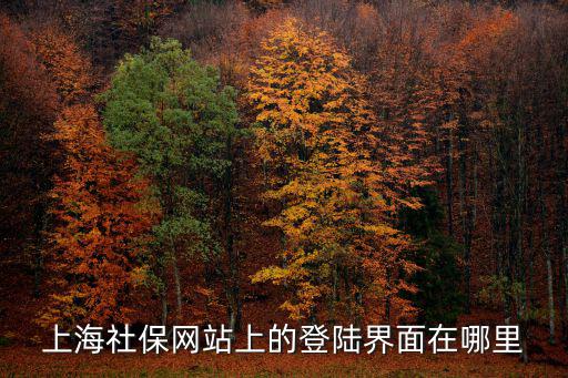 上海企業(yè)社保網(wǎng)上登錄入口，上海社保網(wǎng)站上的登陸界面在哪里