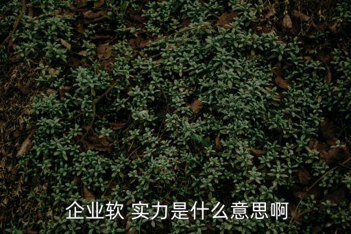  企業(yè)軟 實力是什么意思啊