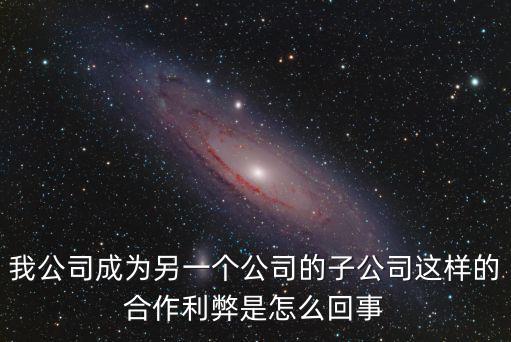 我公司成為另一個公司的子公司這樣的合作利弊是怎么回事