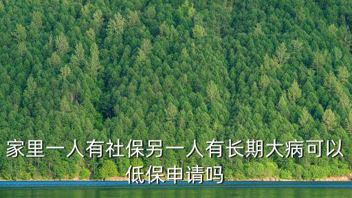 家里一人有社保另一人有長期大病可以低保申請嗎
