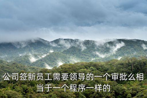 公司簽新員工需要領導的一個審批么相當于一個程序一樣的