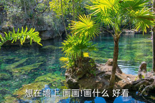 想在墻上 畫畫!畫什么 好看