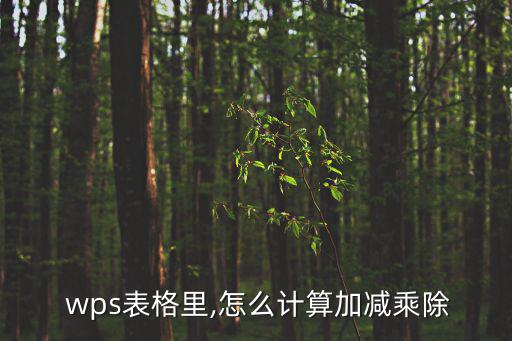 wps乘法函數(shù),wpswps單元格添加符合規(guī)則的計算公式