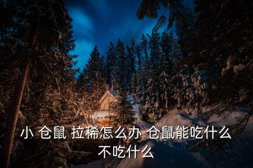 小 倉(cāng)鼠 拉稀怎么辦 倉(cāng)鼠能吃什么不吃什么