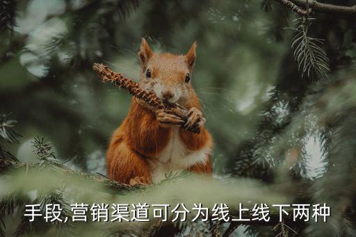 銷(xiāo)售手段,營(yíng)銷(xiāo)渠道可分為線上線下兩種