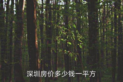深圳房價多少錢一平方
