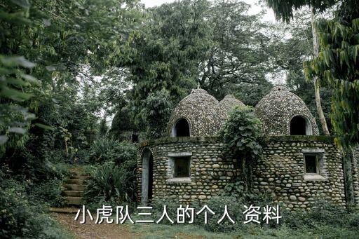 小虎隊三人的個人 資料
