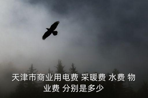 天津市商業用水用電梯度，天津市商業用電費 采暖費 水費 物業費 分別是多少