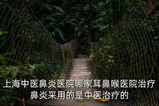 上海中醫(yī)鼻炎醫(yī)院哪家耳鼻喉醫(yī)院治療鼻炎采用的是中醫(yī)治療的