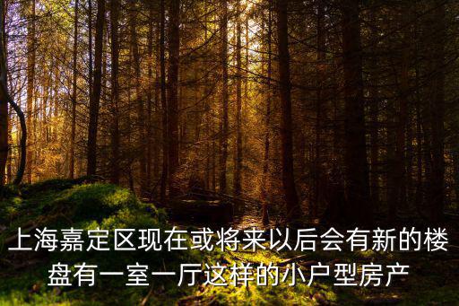 上海嘉定區現在或將來以后會有新的樓盤有一室一廳這樣的小戶型房產