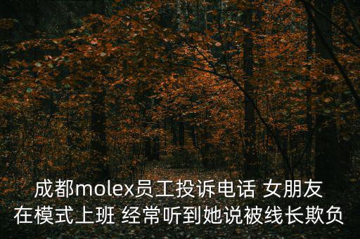 索菲亞成都市投訴電話，成都市舉報電話是多少