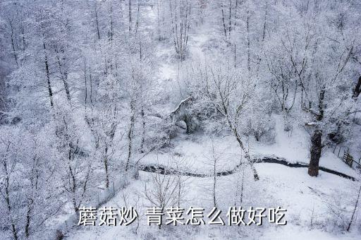  蘑菇炒 青菜怎么做好吃