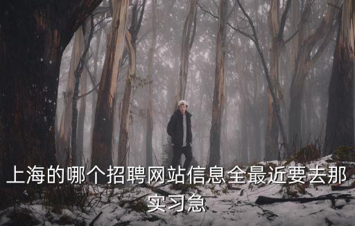 上海的哪個招聘網站信息全最近要去那實習急
