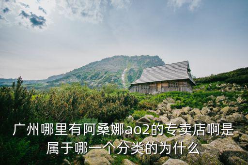 廣州哪里有阿桑娜ao2的專賣店啊是屬于哪一個分類的為什么