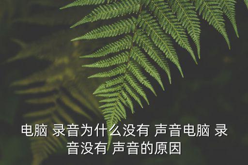 為什么錄音沒聲音,手機錄音無聲音是什么原因?