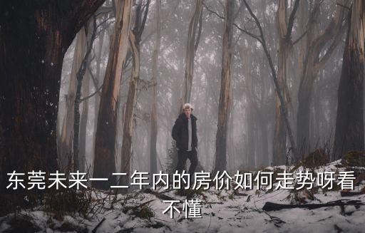 東莞未來一二年內的房價如何走勢呀看不懂