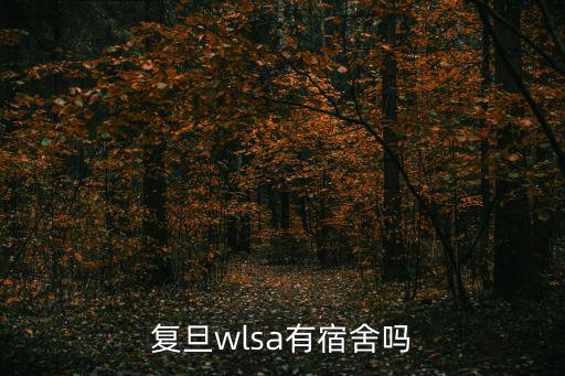 復(fù)旦wlsa有宿舍嗎