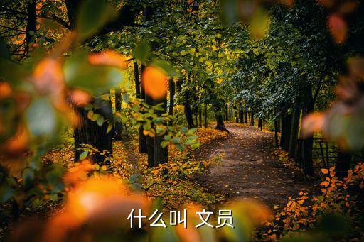 公司文員,文員是行政類公司是小類需做點(diǎn)記賬工作