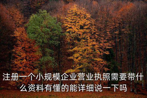 小公司注冊公司需要什么資料，公司注冊需要什么資料