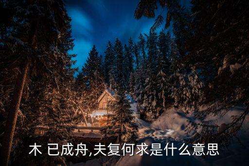 木 已成舟,夫復何求是什么意思
