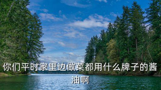 你們平時家里邊做菜都用什么牌子的醬油啊