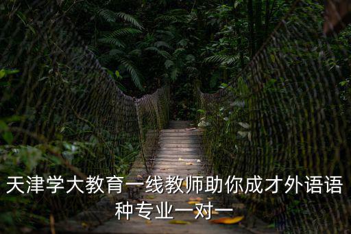 天津?qū)W大教育一線教師助你成才外語語種專業(yè)一對一