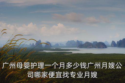廣州母嬰護理一個月多少錢廣州月嫂公司哪家便宜找專業(yè)月嫂