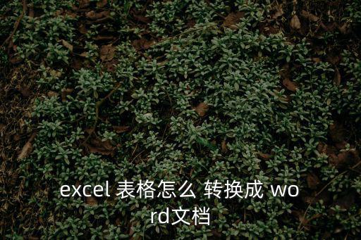 excel 表格怎么 轉換成 word文檔