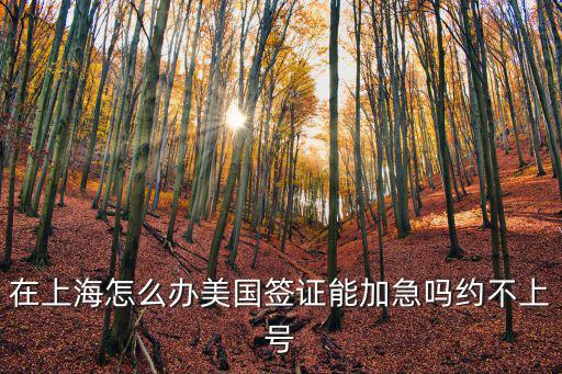 上海市居民美國簽證辦起來容易，我是廣東人在上海辦美國簽證容易通過還是在廣州辦容易通過