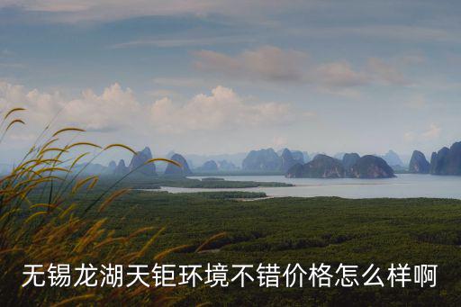 大豐龍湖天鉅房價如何，成都大豐的房價現(xiàn)在是多少呀