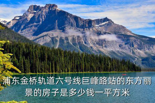 浦東新區(qū)金橋房價排名，浦東金橋軌道六號線巨峰路站的東方麗景的房子是多少錢一平方米