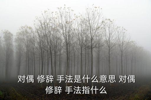  對(duì)偶 修辭 手法是什么意思 對(duì)偶 修辭 手法指什么